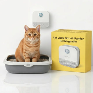 A cat sits in a litter box near the wall-mounted air purifier and its yellow product box.