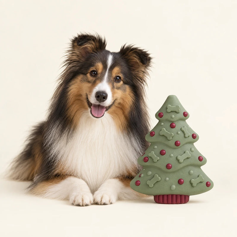 Shetland sheepdog beside a Christmas tree dog toy – Petifo