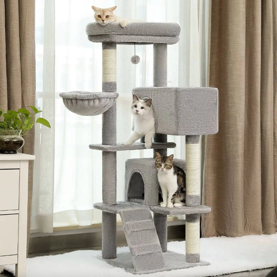 Three cats sitting on a 143 cm tall grey cat tree with a built-in ladder, dual condos, and hanging toys.