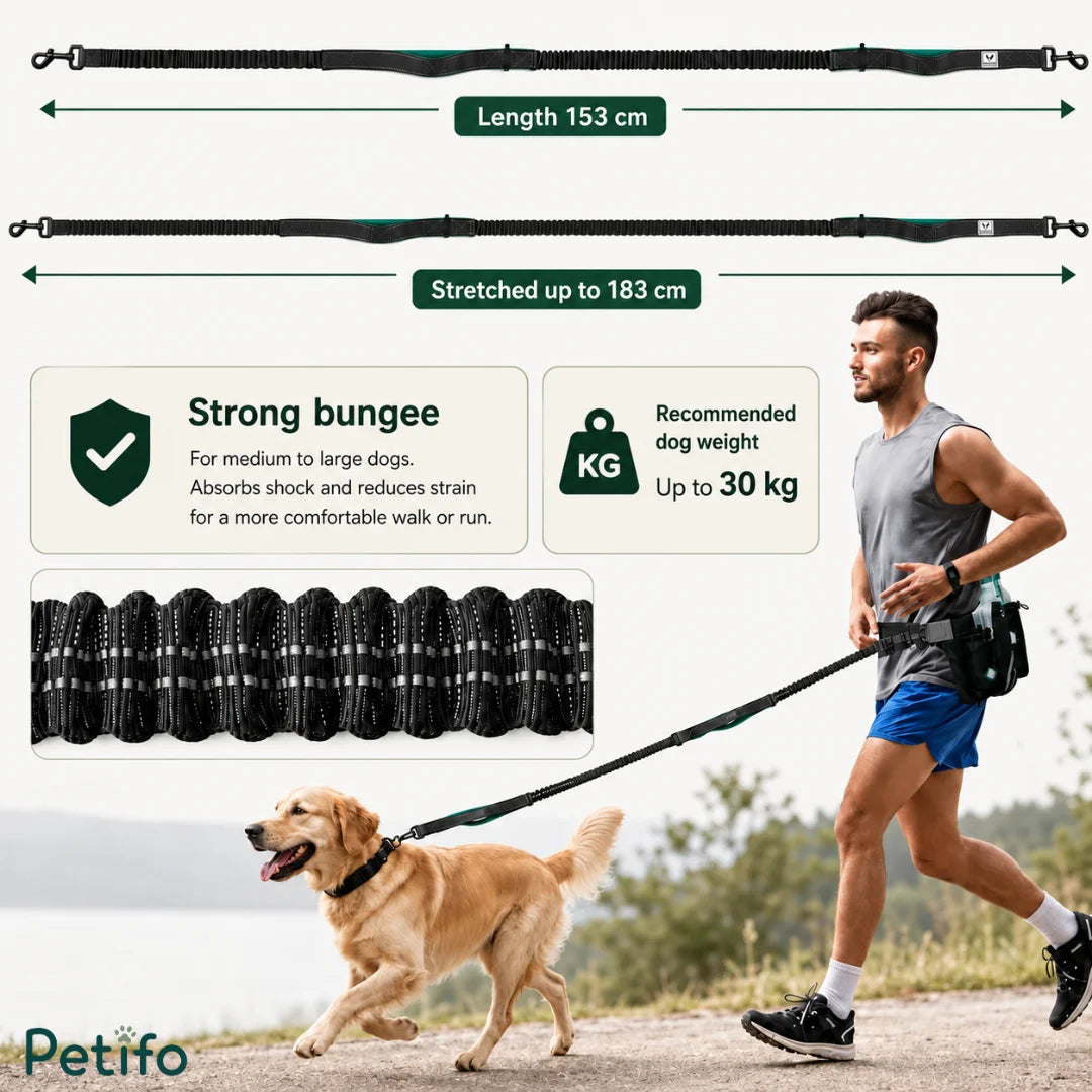 Bungee dog leash specifications displaying a length of 153 cm stretching up to 183 cm for dogs up to 30 kg.