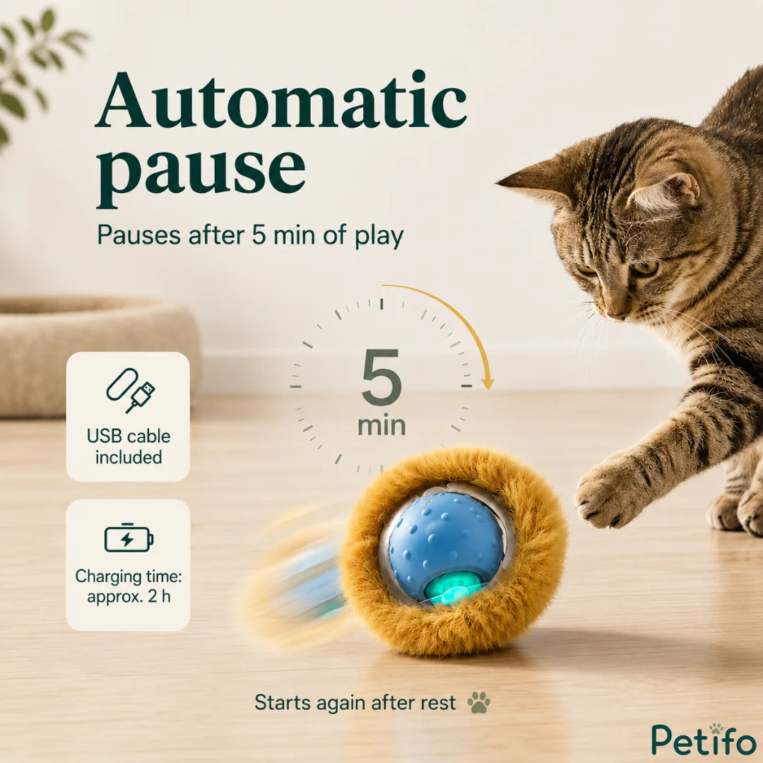 Infographic highlighting the automatic 5-minute pause feature, USB cable inclusion, and 2-hour charging time for the interactive toy.