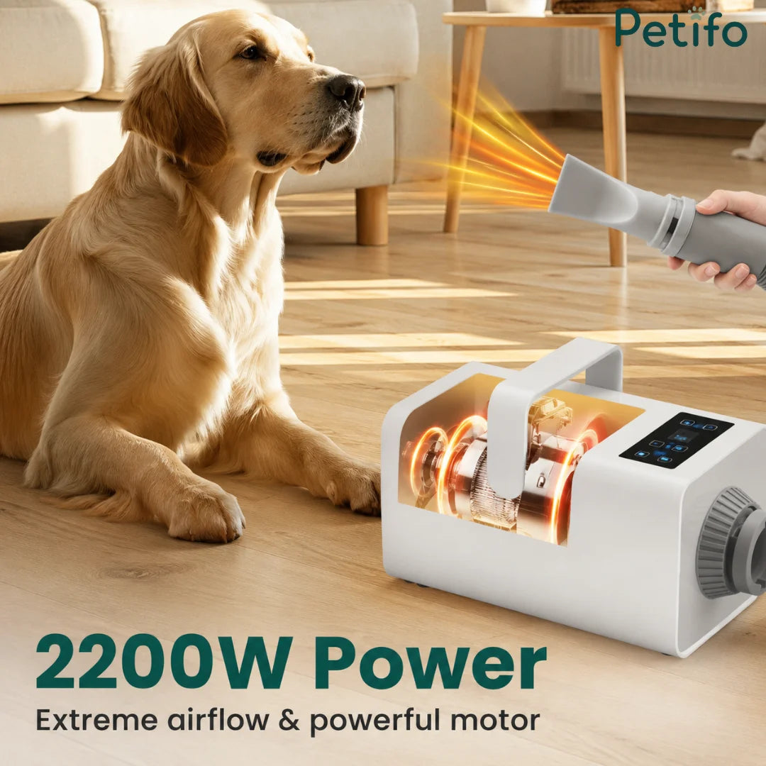 A powerful 2200W pet hair dryer with a cutaway view showing the motor, designed for efficient pet grooming and drying.