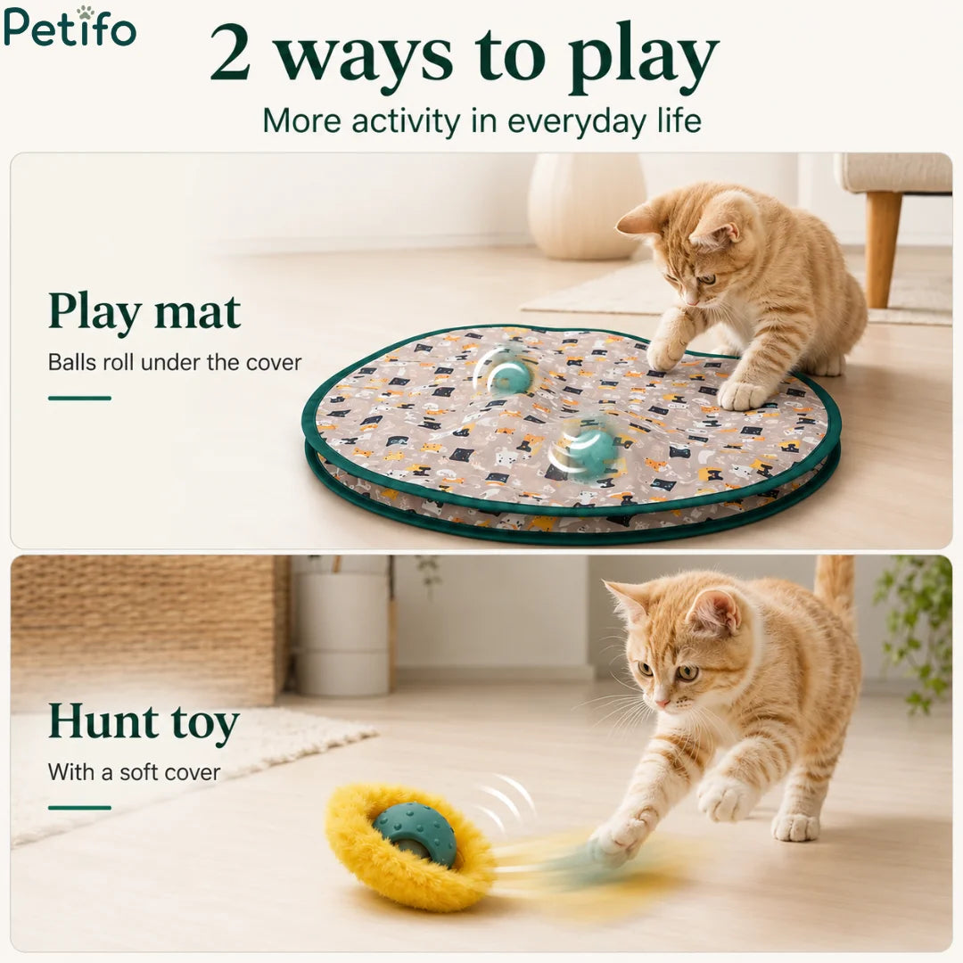 Demonstration of the 2 ways to play using the interactive mat or the standalone rolling hunt toy with a soft cover.