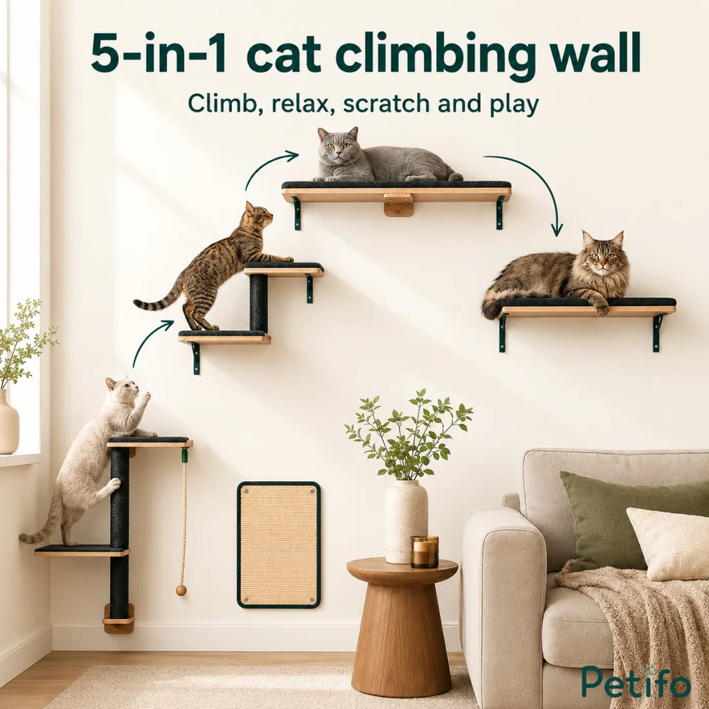 5-in-1 Petifo cat climbing wall, providing a complete system for climbing, relaxing, and scratching.