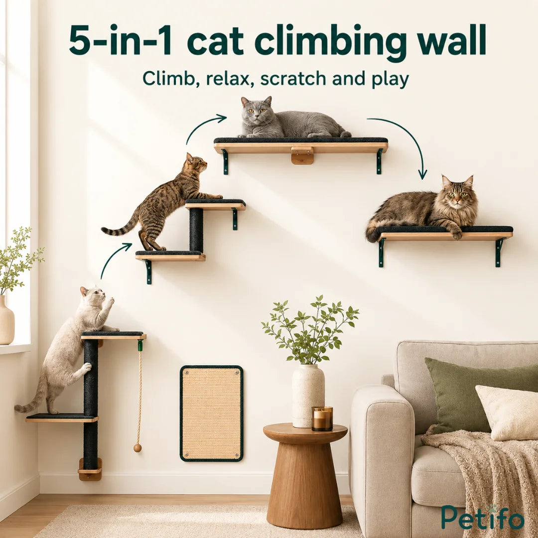5-in-1 Petifo cat climbing wall, providing a complete system for climbing, relaxing, and scratching.