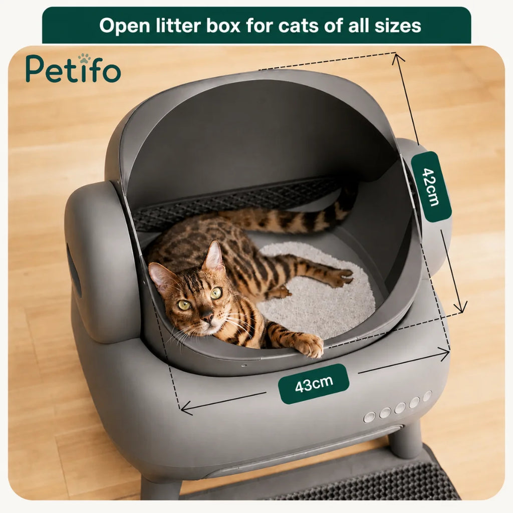 Spacious open-top cat litter box design measuring 43cm by 42cm, suitable for cats of all sizes.