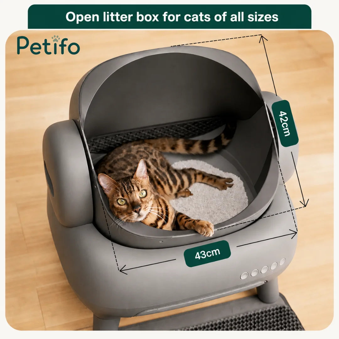 Spacious open-top cat litter box design measuring 43cm by 42cm, suitable for cats of all sizes.