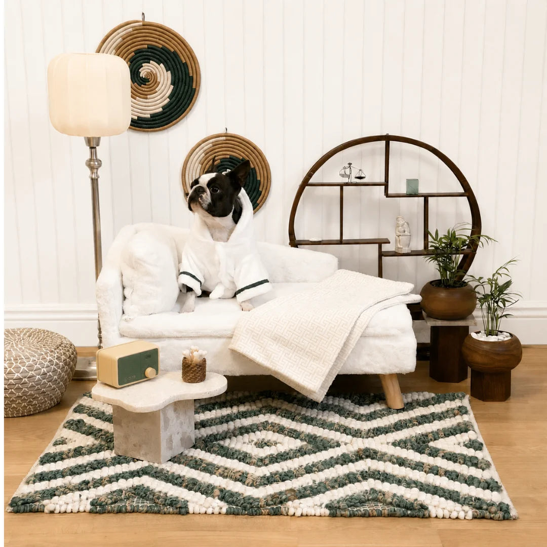 A Boston Terrier in a bathrobe relaxing on a luxury white plush pet sofa in a decorated living room.