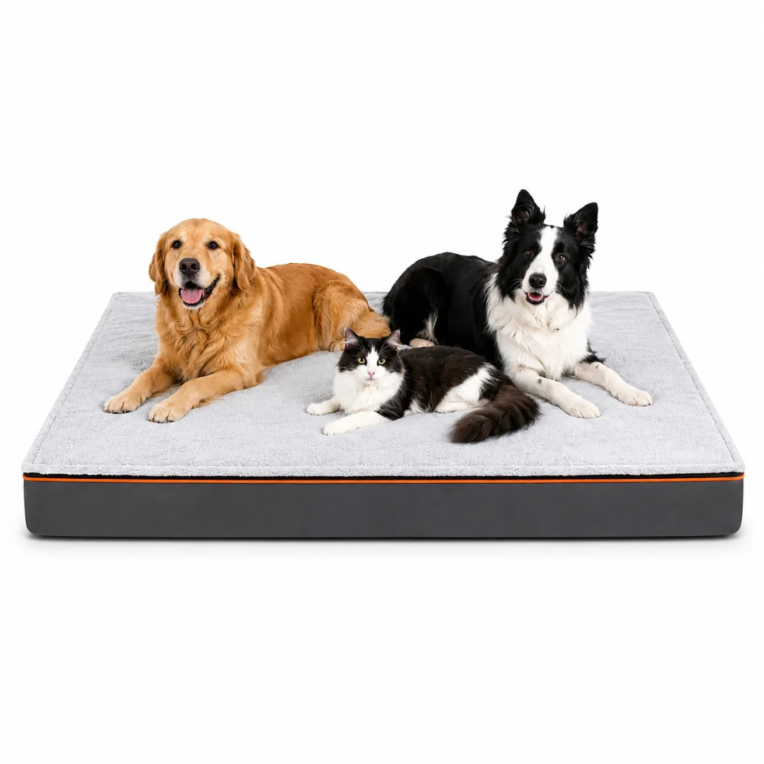 A golden retriever and a black-and-white cat resting together on a large, high-quality plush pet bed.