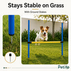 A Jack Russell Terrier jumping over a Petifo dog agility hurdle secured in grass with metal ground stakes.