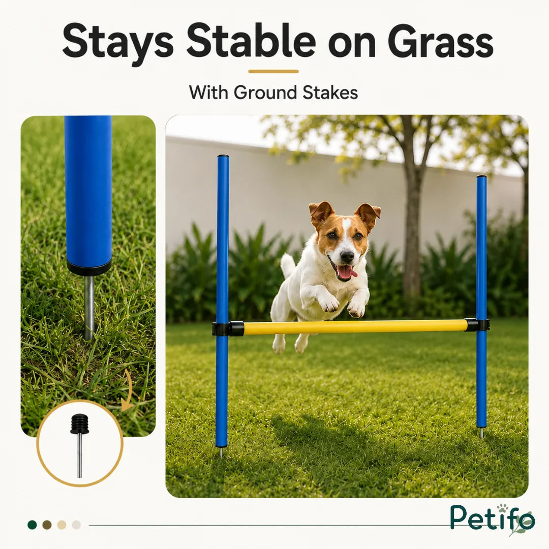 A Jack Russell Terrier jumping over a Petifo dog agility hurdle secured in grass with metal ground stakes.