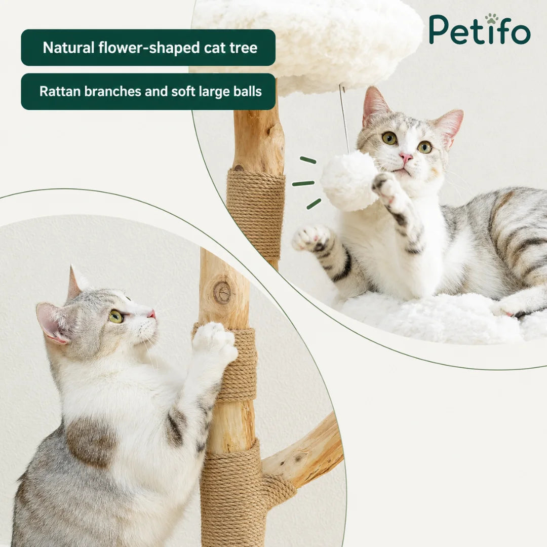 A cat playing with a soft ball on a natural flower-shaped cat tree featuring wrapped rattan scratching branches.
