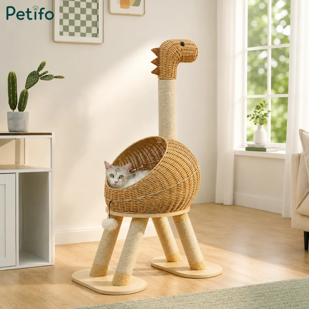 A cat resting inside a Petifo dinosaur cat bed, highlighting its decorative and functional design for home interiors.