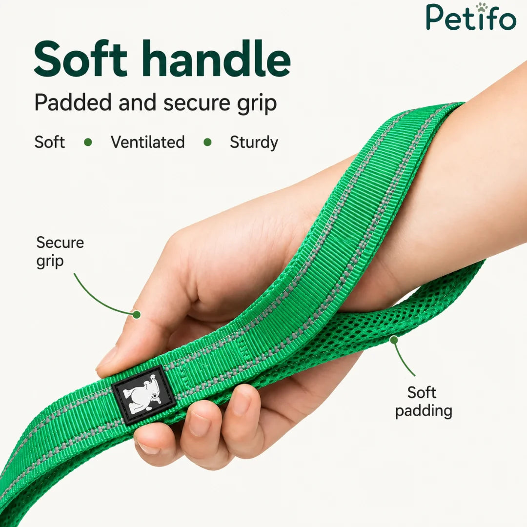 A close-up showing the soft, padded, and ventilated handle of a green dog leash held securely in a hand.
