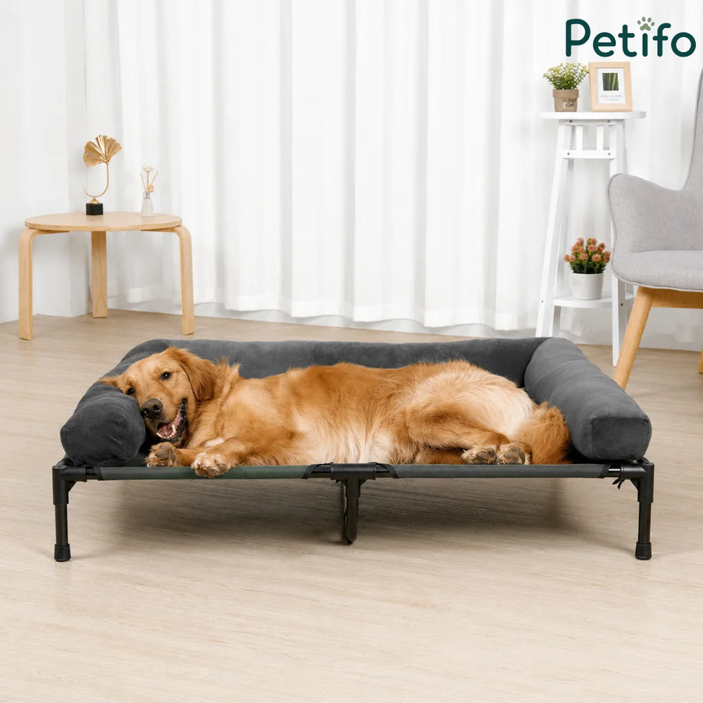 A comfortable golden retriever relaxing on a Petifo elevated dog bed in a cozy indoor home environment.