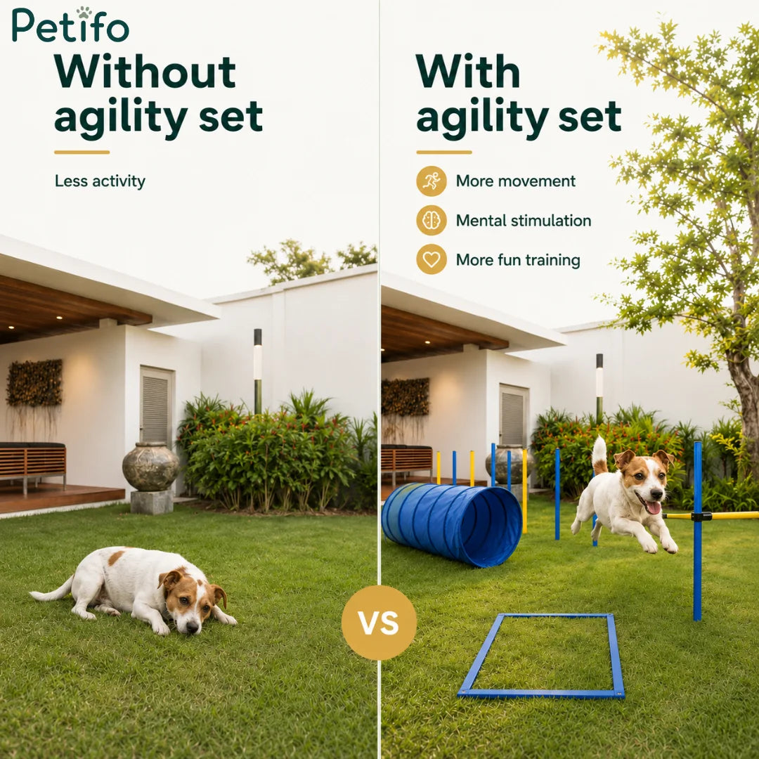 A comparison graphic showing a dog resting versus an active dog playing with the Petifo dog agility set.