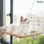 A fluffy cat lying relaxed on a window hammock, looking up with bright blue eyes against a bright cityscape background.