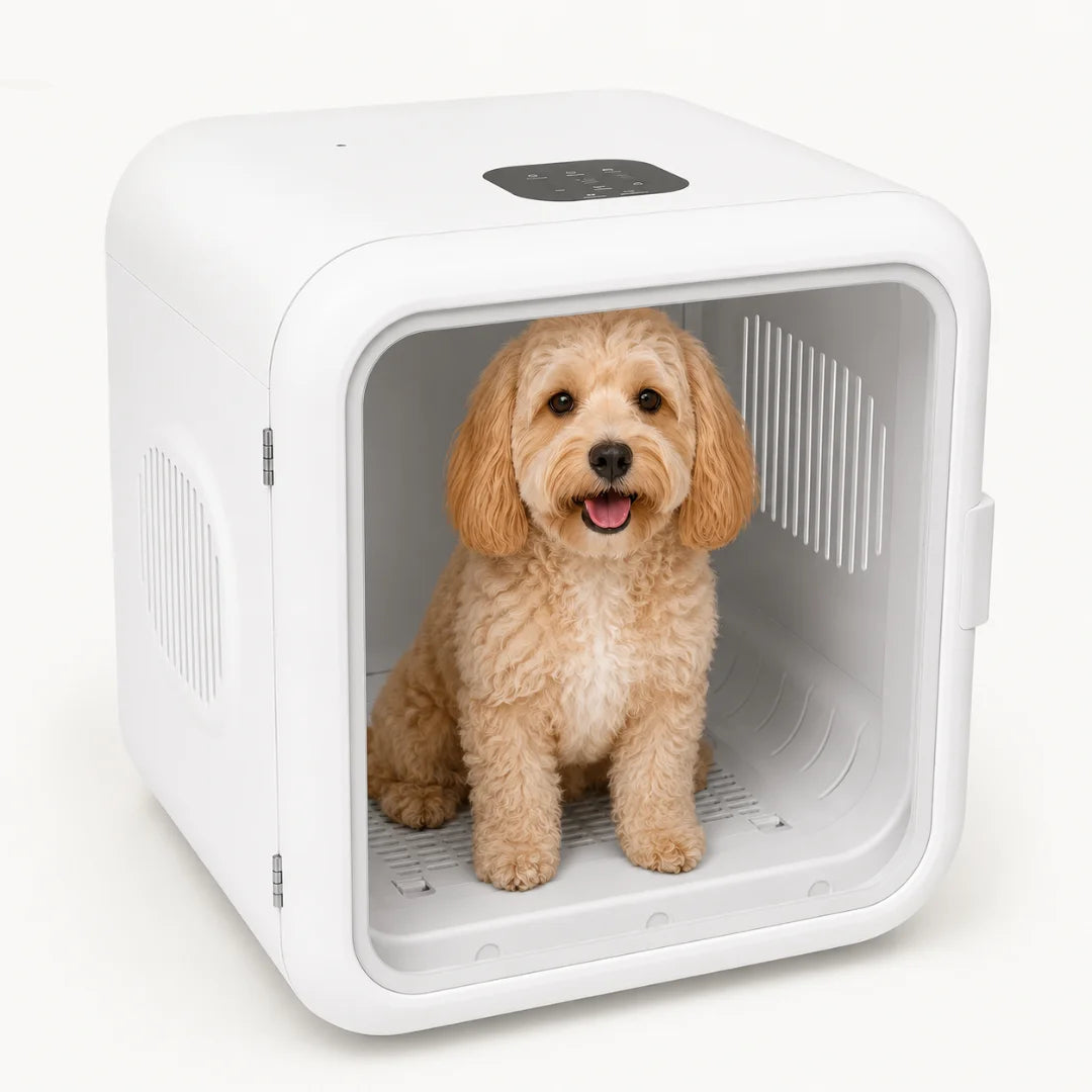 A fluffy dog sitting inside an automatic pet dryer demonstrating 360-degree airflow drying.