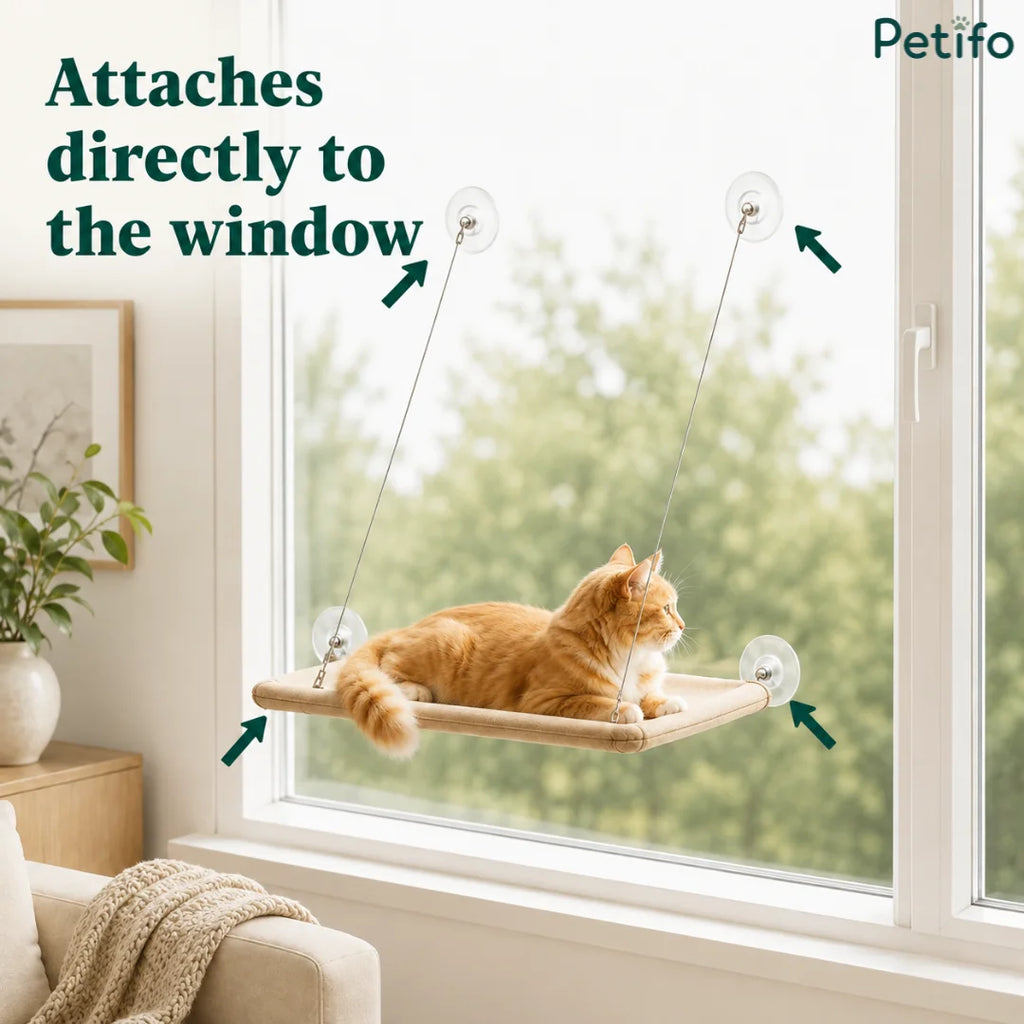 A ginger cat resting on the window hammock, highlighted with directional arrows pointing to its secure window mount points.