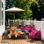A happy golden retriever lying on a Petifo elevated dog bed placed on a beautiful wooden deck with pink flowers.