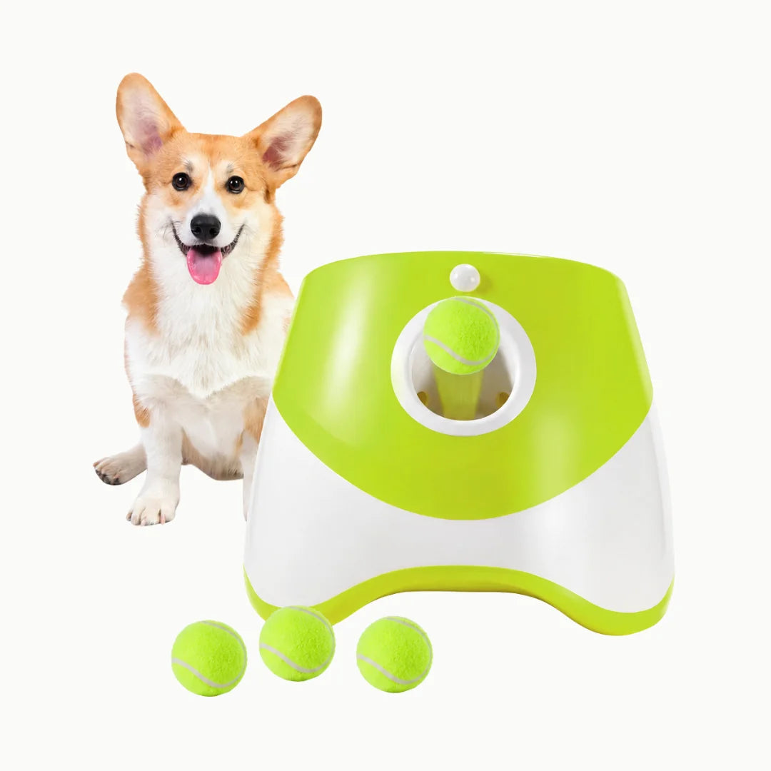 A happy dog sitting next to a green automatic ball launcher with tennis balls scattered on the floor.