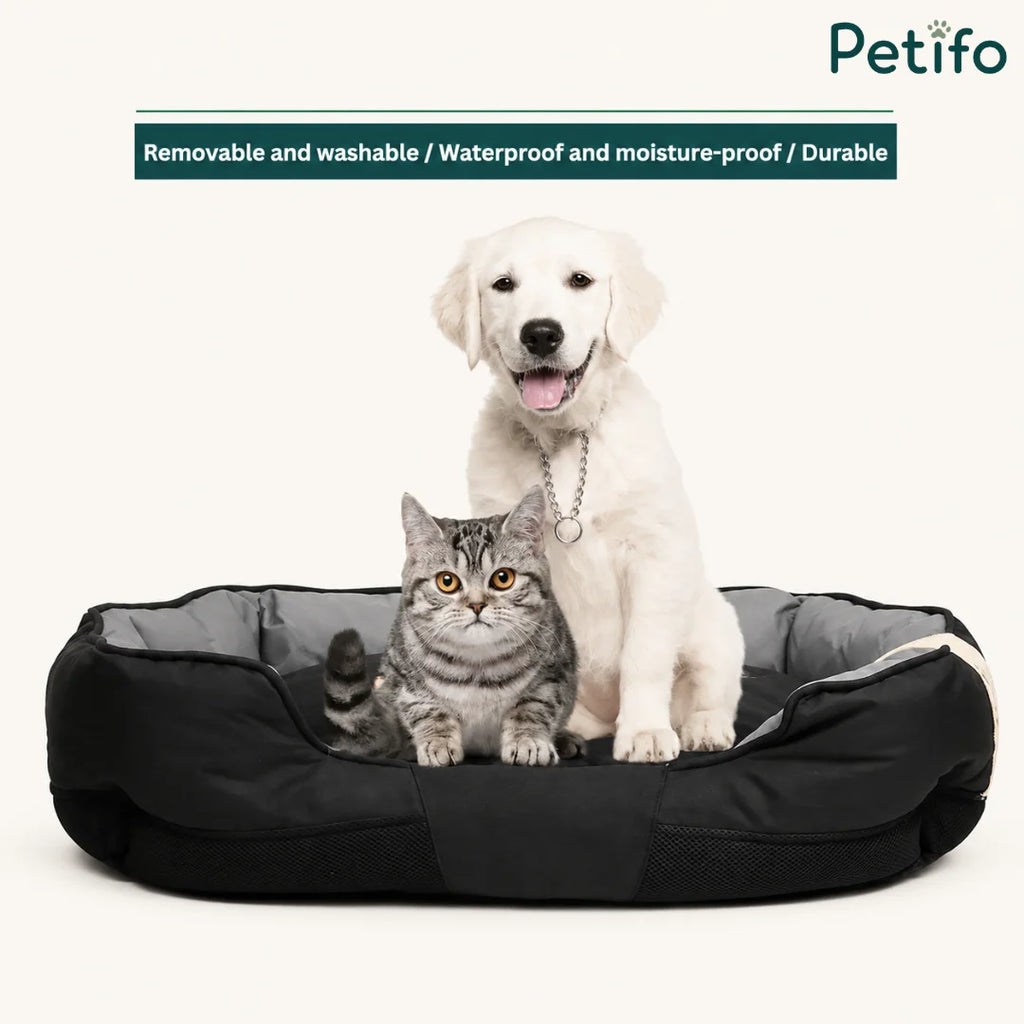 A happy puppy and kitten resting together in a premium, washable, and moisture-proof pet bed.