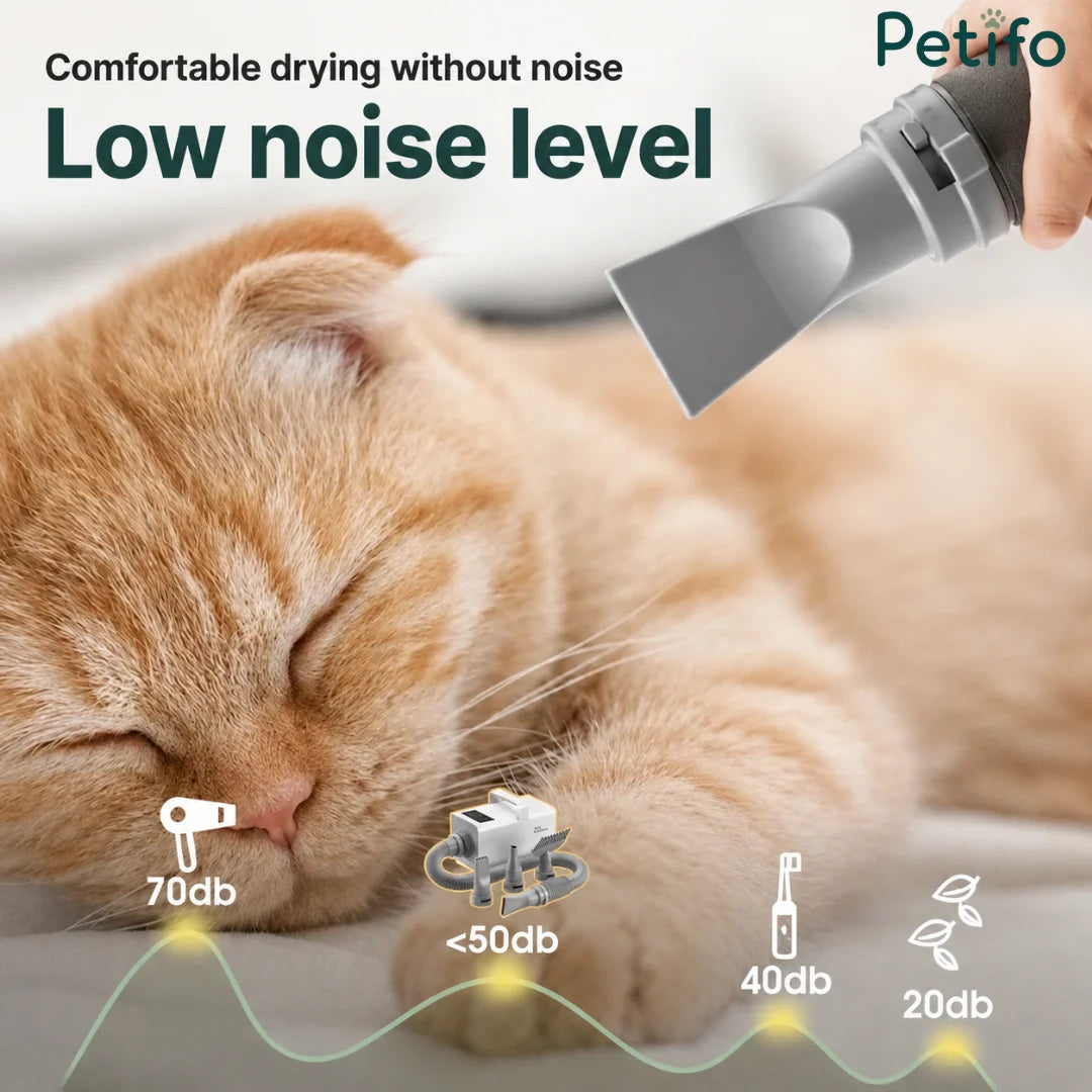 A low-noise pet hair dryer demonstrating quiet operation levels compared to traditional grooming tools to keep pets calm.