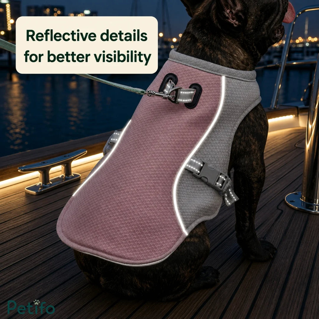 French Bulldog wearing a pink cooling vest featuring reflective details for nighttime visibility.