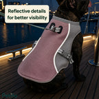 French Bulldog wearing a pink cooling vest featuring reflective details for nighttime visibility.