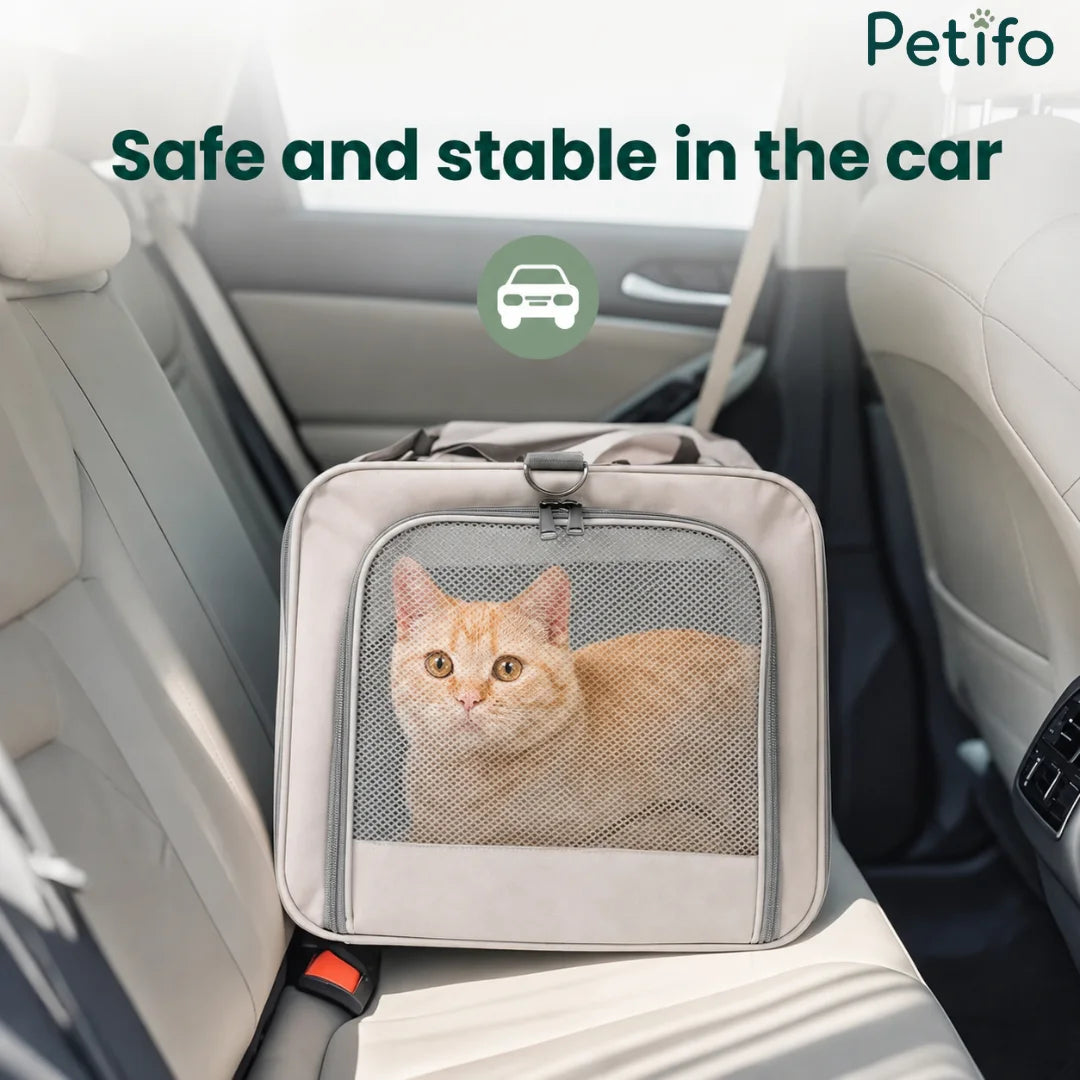 A portable beige pet carrier secured safely and stably on the backseat of a car for travel.