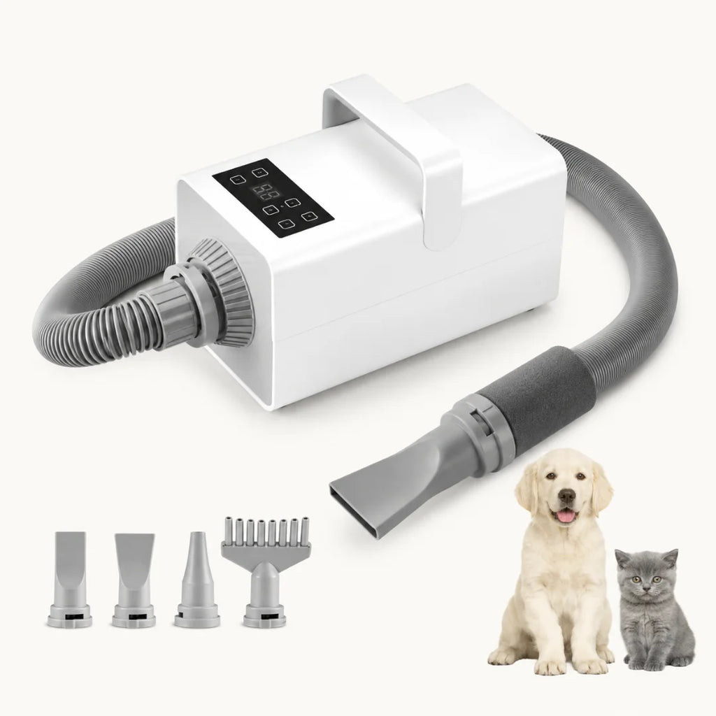 A professional-grade white pet hair dryer with multiple nozzles, shown next to a dog and a cat for size comparison.