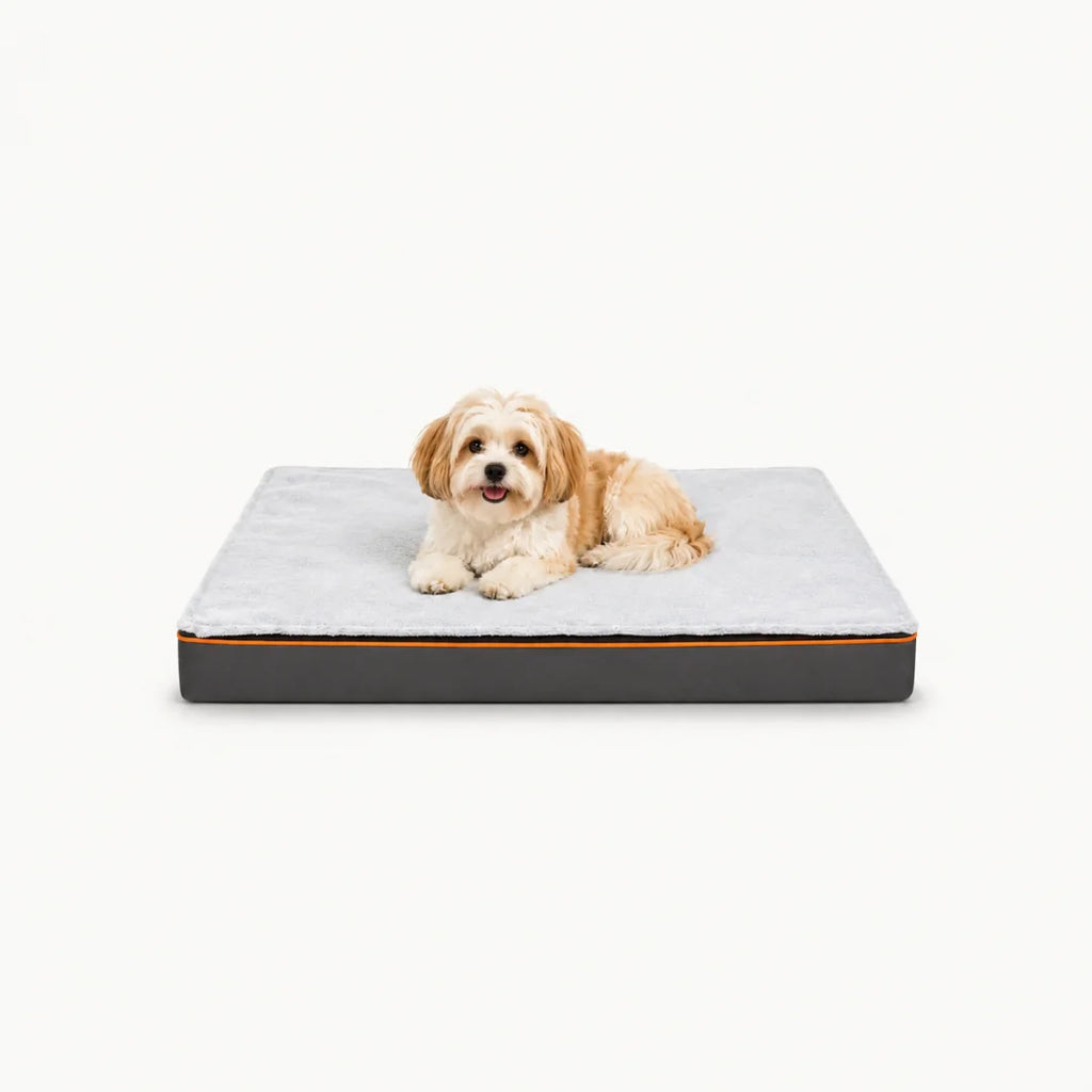 A small, cute puppy sitting comfortably on a modern, high-quality plush pet bed against a clean white background.