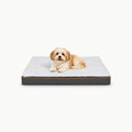 A small, cute puppy sitting comfortably on a modern, high-quality plush pet bed against a clean white background.