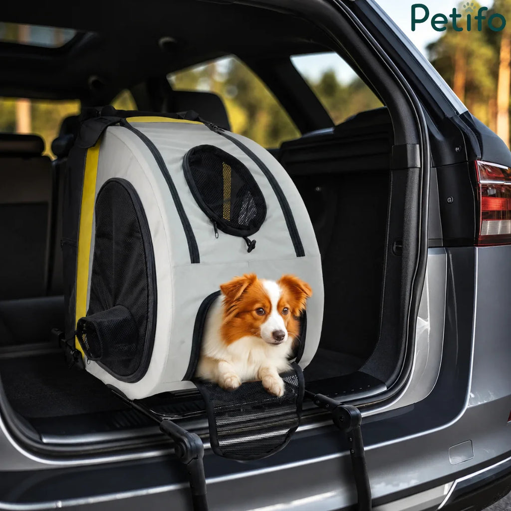 A small dog sitting comfortably inside the Petifo pet carrier, which is securely installed in the back seat of a car.