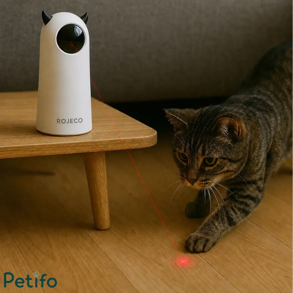  A tabby cat playing with a red laser dot on a wooden floor, projected from a white Rojeco automatic laser toy sitting on a side table.