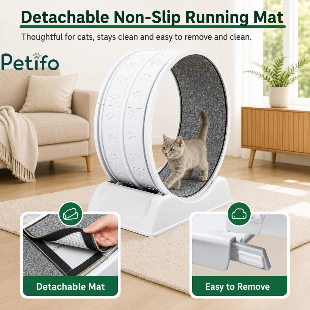 A white cat walking on a Petifo cat exercise wheel highlighting the detachable, easy-to-remove non-slip running mat.