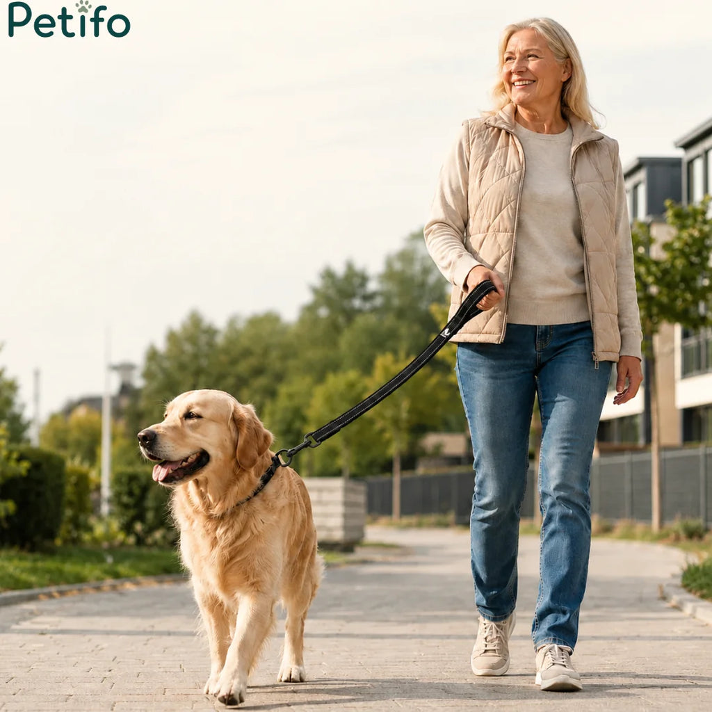 A woman walking her golden retriever on a sunny path using a comfortable, reflective dog leash.