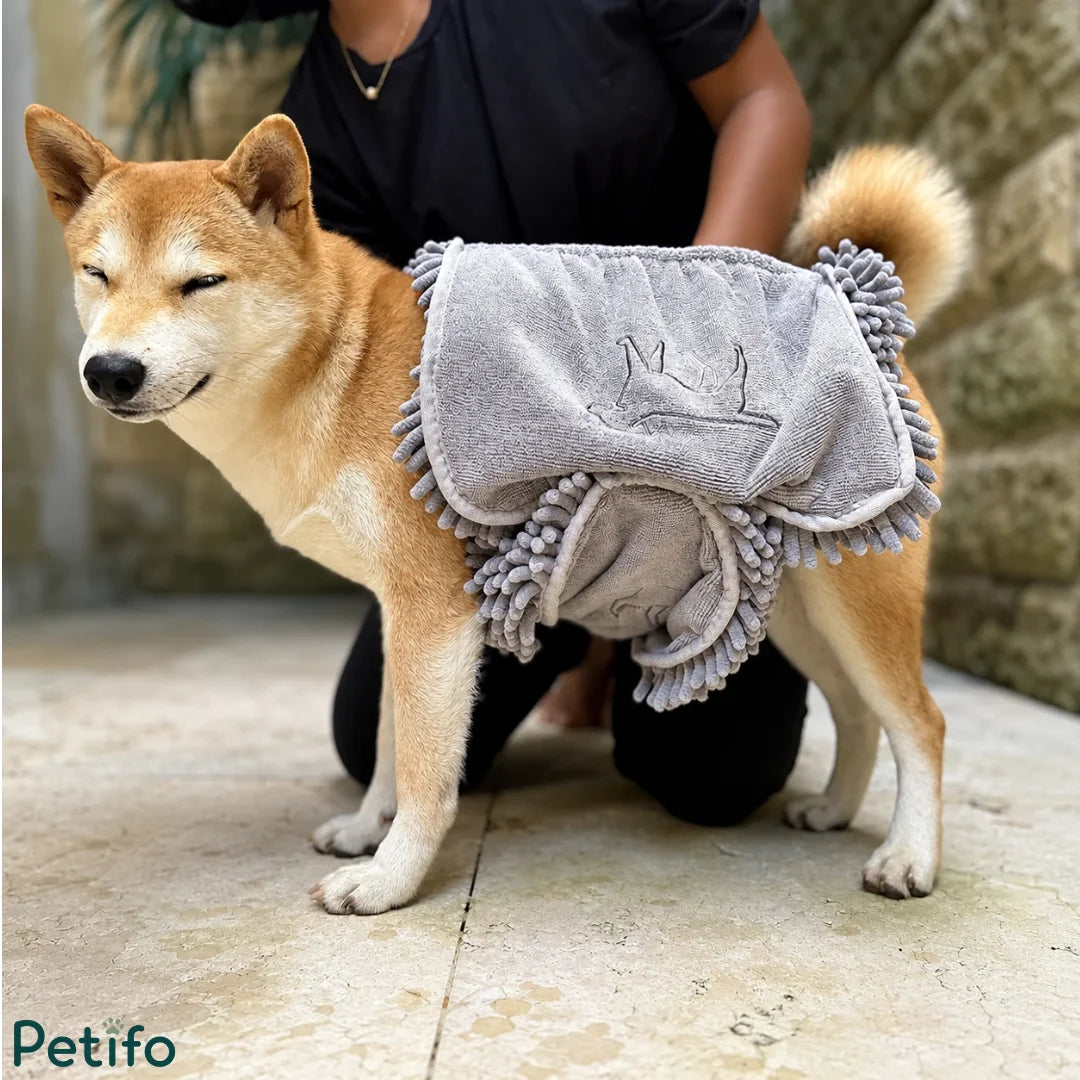 Shiba Inu dog wrapped in a grey absorbent microfiber pet drying towel outdoors.