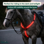 Horse wearing a bright red active LED visibility breastplate for evening trails.