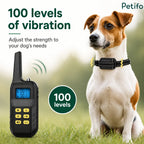 Jack Russell Terrier sitting attentively outdoors next to a handheld remote featuring adjustable vibration settings.