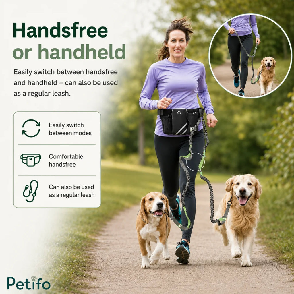 Demonstrating the versatile hands-free or handheld conversion modes of the adjustable dog walking leash.