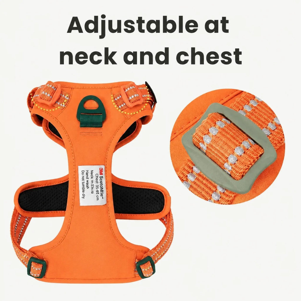 Adjustable orange dog harness showing neck and chest strap adjustment points.