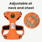 Adjustable orange dog harness showing neck and chest strap adjustment points.