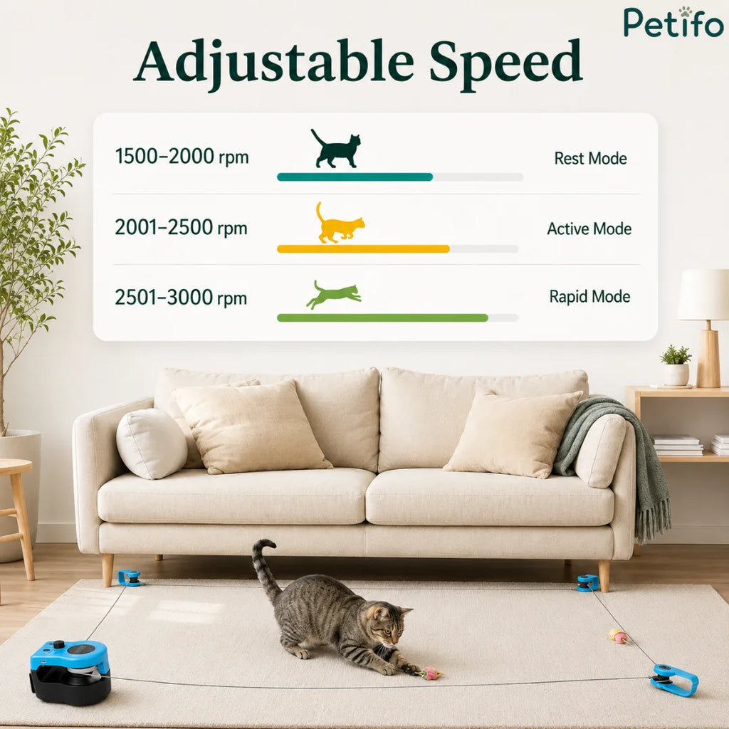 Adjustable speed settings infographic displaying rest, active, and rapid RPM modes for the interactive cat toy.