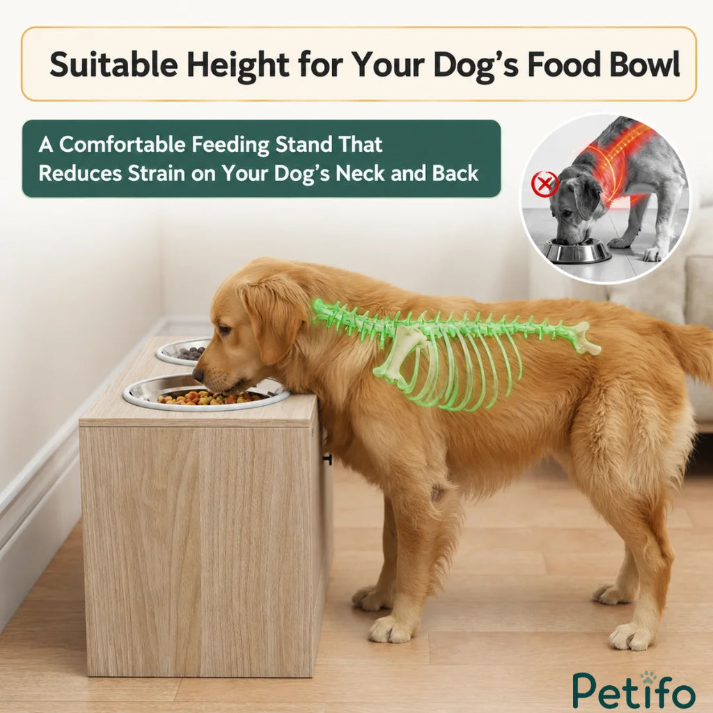 An anatomical diagram illustrating how the Petifo raised feeding station helps reduce neck and back strain for dogs during mealtime.