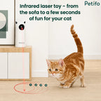 An orange tabby cat chasing an infrared laser beam on the floor generated by a white Rojeco automated laser toy on a cabinet.