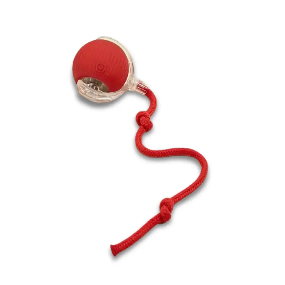 Red interactive rolling cat toy with an attached cord and clear casing on a clean white background.