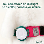 Petifo LED safety light attached securely to a pink dog collar.