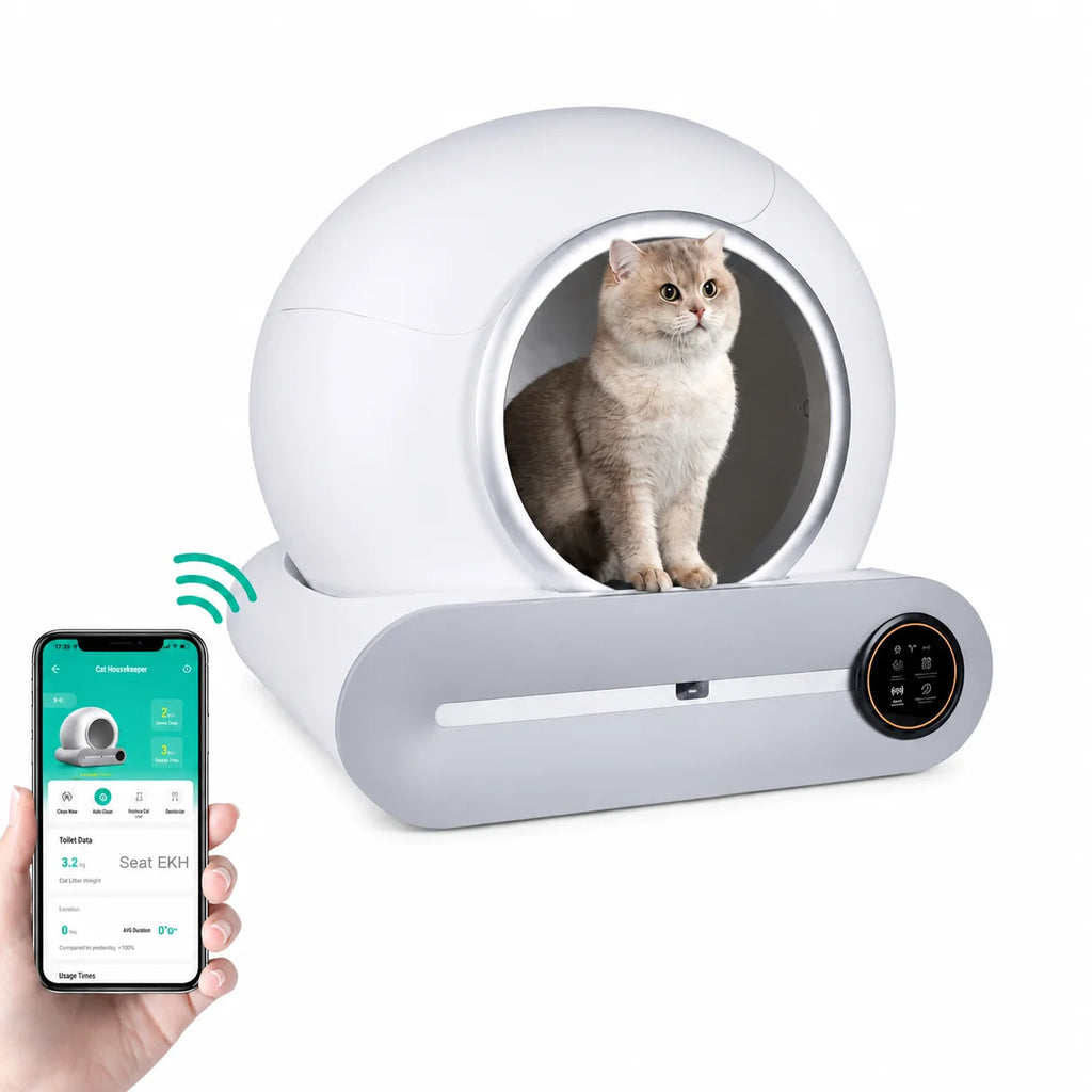 A cat sits inside this smart automated cat litter box, which can be monitored and controlled via a smartphone app.