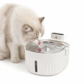 Fluffy white cat drinking fresh water from a modern automatic stainless steel pet fountain.